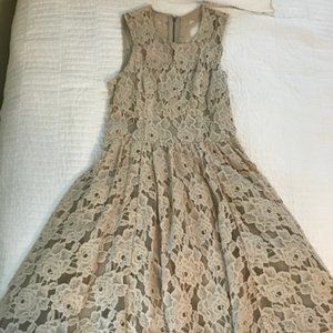 Anthropologie Beige Lace Fit and Flare Dress (6)